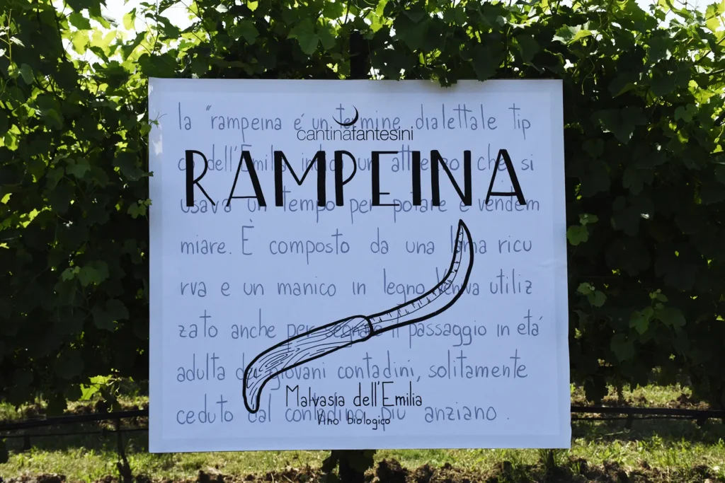 rampeina-etichetta1