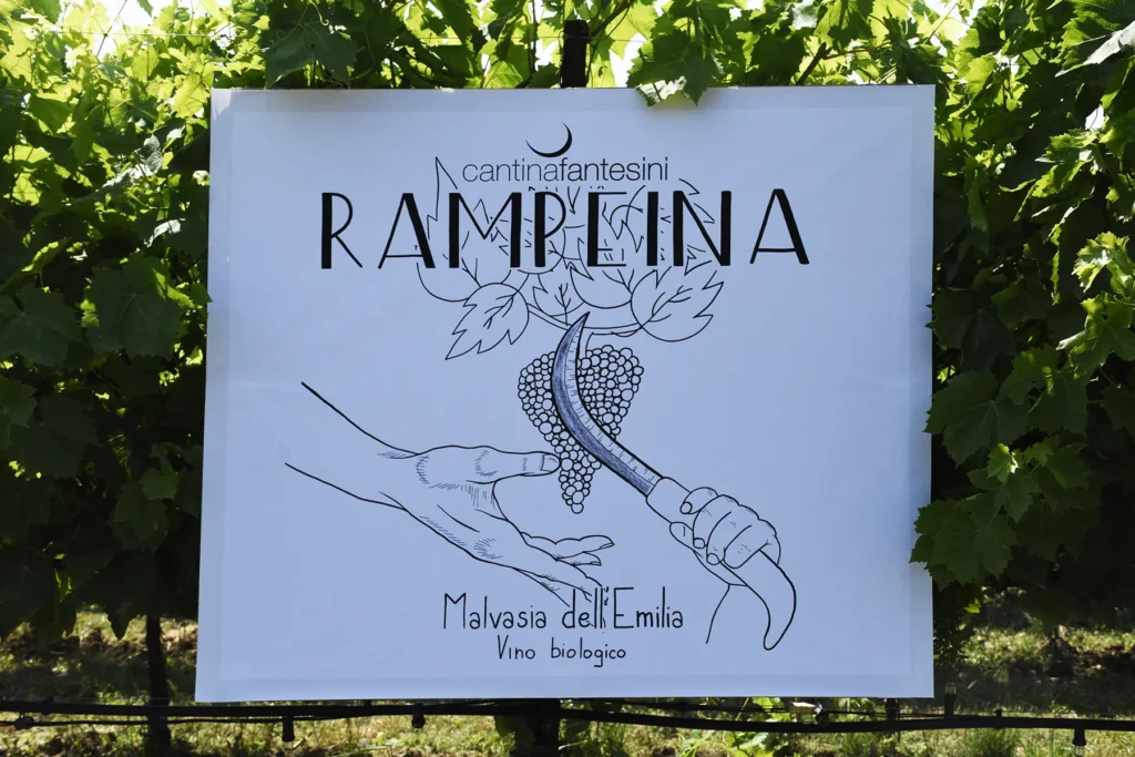rampeina-etichetta2