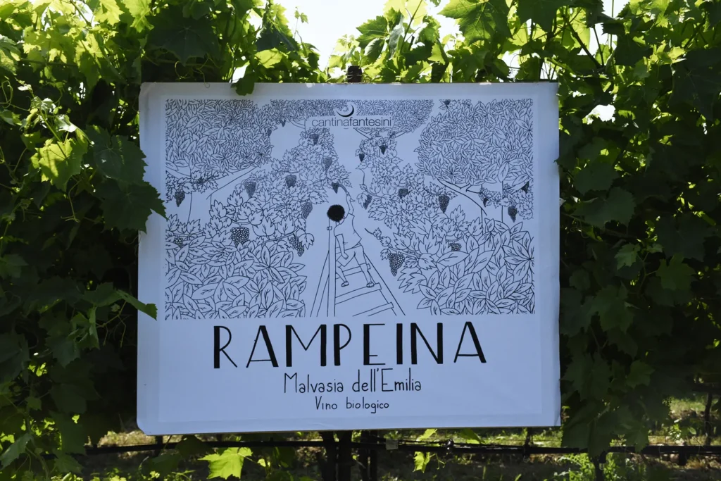 rampeina-etichetta4
